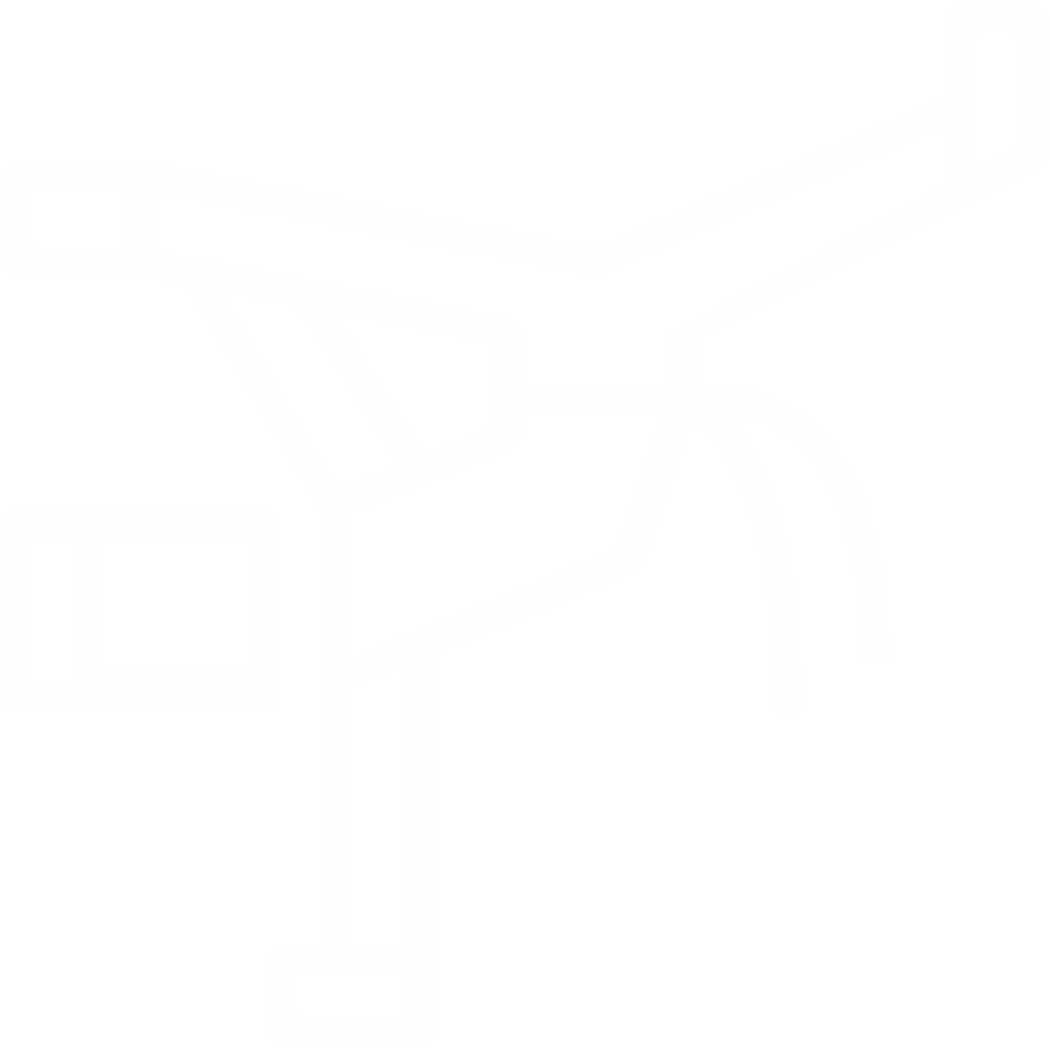 Capoeira